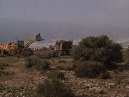 Destrucción de artineras en El Ejido hace dos décadas. / ECOLOGISTAS EN ACCIÓN