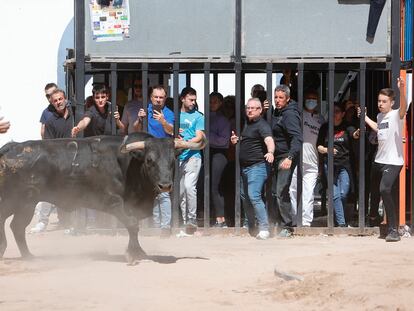 Imagen de archivo de un festejo de 'bous al carrer' en la localidad castellonense de La Llosa durante sus fiestas patronales.