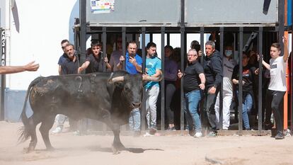 Una imagen de Bous al carrera en una localidad valenciana en 2022.