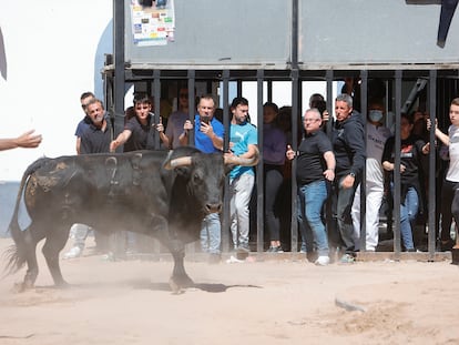 Una imagen de Bous al carrera en una localidad valenciana en 2022.