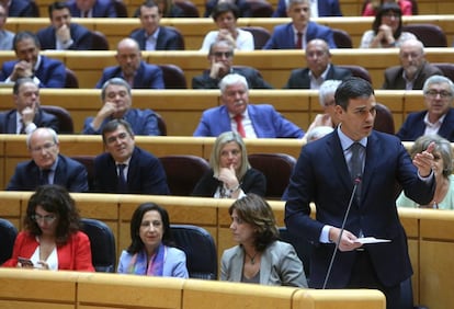 El presidente del Gobierno, Pedro Sánchez, durante su intervención en la sesión de control en el Senado.