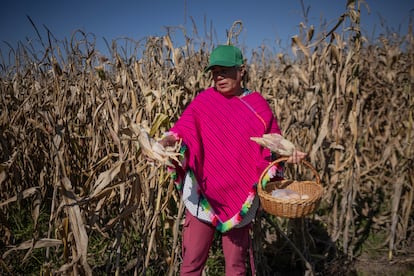 Zenaida Correa, agricultora de Chapa de Mota en el Estado de México
