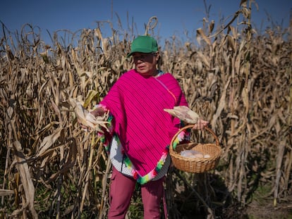 La agricultora Zenaida Correa en Chapa de Mota (Estado de México), el 20 de diciembre.