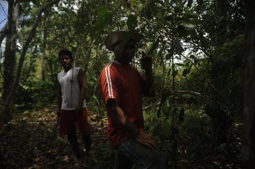 Seis asesinatos en cuatro años: los kakataibo se declaran en emergencia en la Amazonia peruana