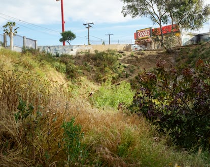 'Vista de la jungla'. Tijuana, México (2019). De la serie 'La jungla'.