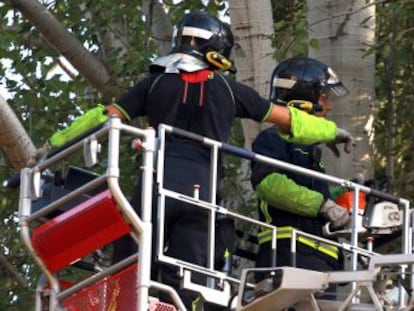 Bomberos del Ayuntamiento apean la rama caída en el Retiro.
