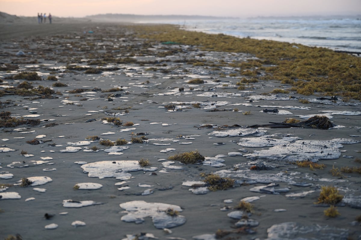 An oil spill in the Gulf of Mexico is met with two weeks of evasive responses