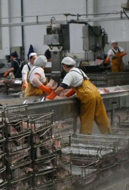 Operarias en una fábrica de conservas