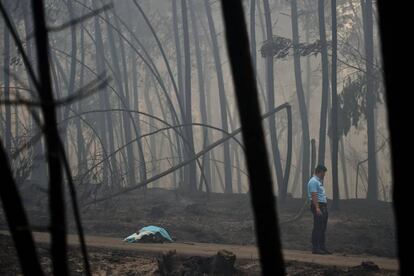 Un policía junto al cádaver de una de las víctimas del incendio de Pedrógão Grande (Portugal).