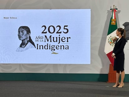 Xiuhtlaltzin, Año de la Mujer Indígena en México