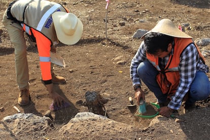 Tren Maya arqueólogos exploran