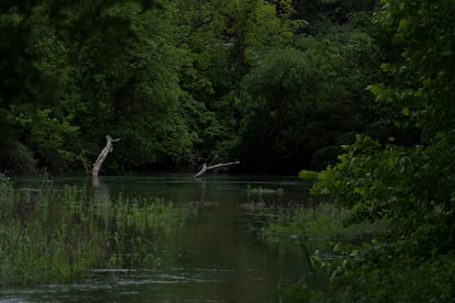 El río León a la altura de Belton (Texas), lugar donde fue encontrado el cuerpo de Vanessa Guillén.