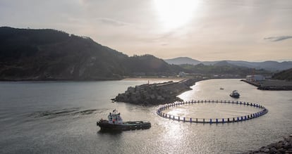 Un barco remolca una piscina flotante desde el puerto de Orio (Gipuzkoa) a mar abierto, el 5 de noviembre. 
