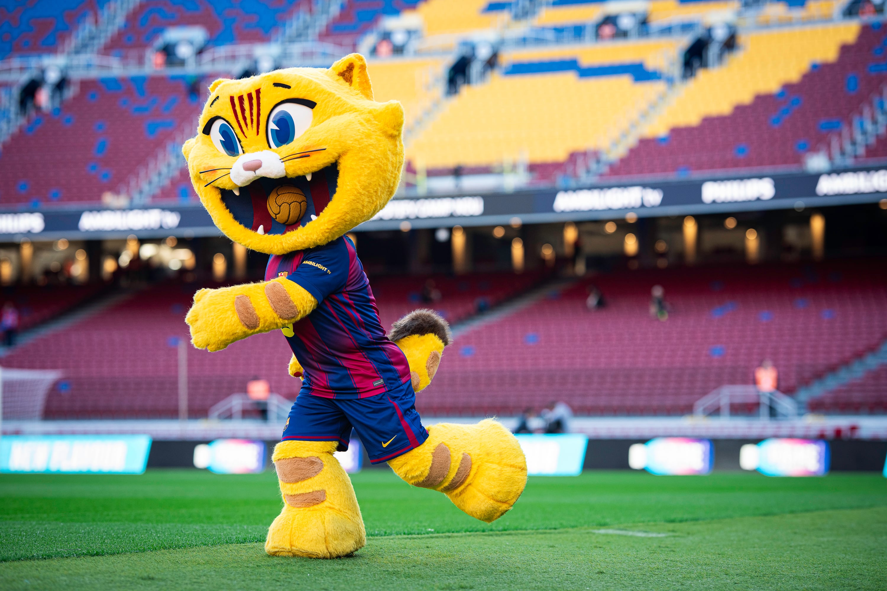 Cat, la mascota del Barça.