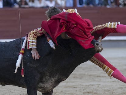 Manuel Escribano, cogido por su segundo toro el pasado 30 de mayo.