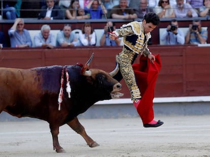 El tercer toro de la tarde del martes en Las Ventas enganchó por la taleguilla a Tomás Campos.