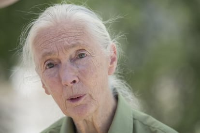 Jane Goodall, ayer, en el Museo Nacional de Ciencia y Tecnolog&iacute;a.