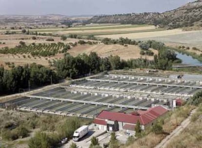 Vista de la piscifactoría en la que murieron cuatro personas dentro de una fosa séptica.