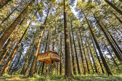 Desperdigadas en un espeso bosque al sur de Bizkaia (algunas se encuentran a más de tres kilómetros del caserío de recepción), las seis cabañas de Zeanuri invitan al aislamiento total a entre siete y 17 metros sobre el suelo del bosque. Las casitas, de entre 20 y 37 metros cuadrados (caso de la familiar Hontza) y equipadas con váter seco y ducha (tres de ellas), combinan un revestimiento exterior de resistente madera de castaño con un acogedor interior en madera de alerce.