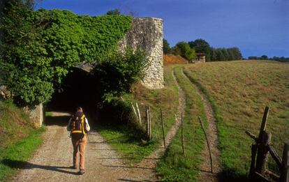 Un senderista en la vía verde del Plazaola (Navarra).