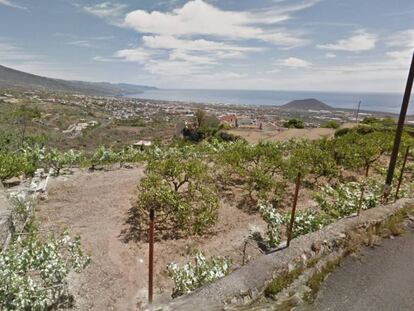 Afueras del municipio de Güímar (Santa Cruz de Tenerife), donde ocurrieron los hechos.