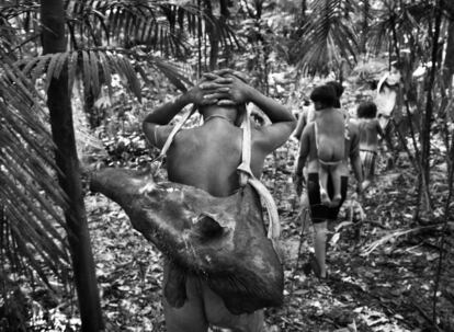 AyaxPunu, después de cazar, carga a sus espaldas con una cabeza de tapir. El tapir es el mamífero hervíboro más grande de Brasil, con un peso que puede alcanzar los 300 kilogramos.