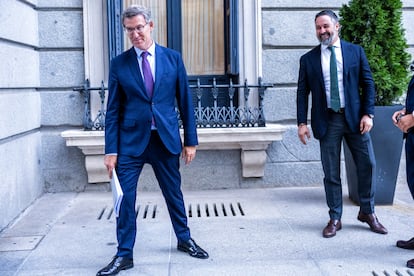 Alberto Núñez Feijóo y Santiago Abascal, en el patio del Congreso el pasado septiembre.