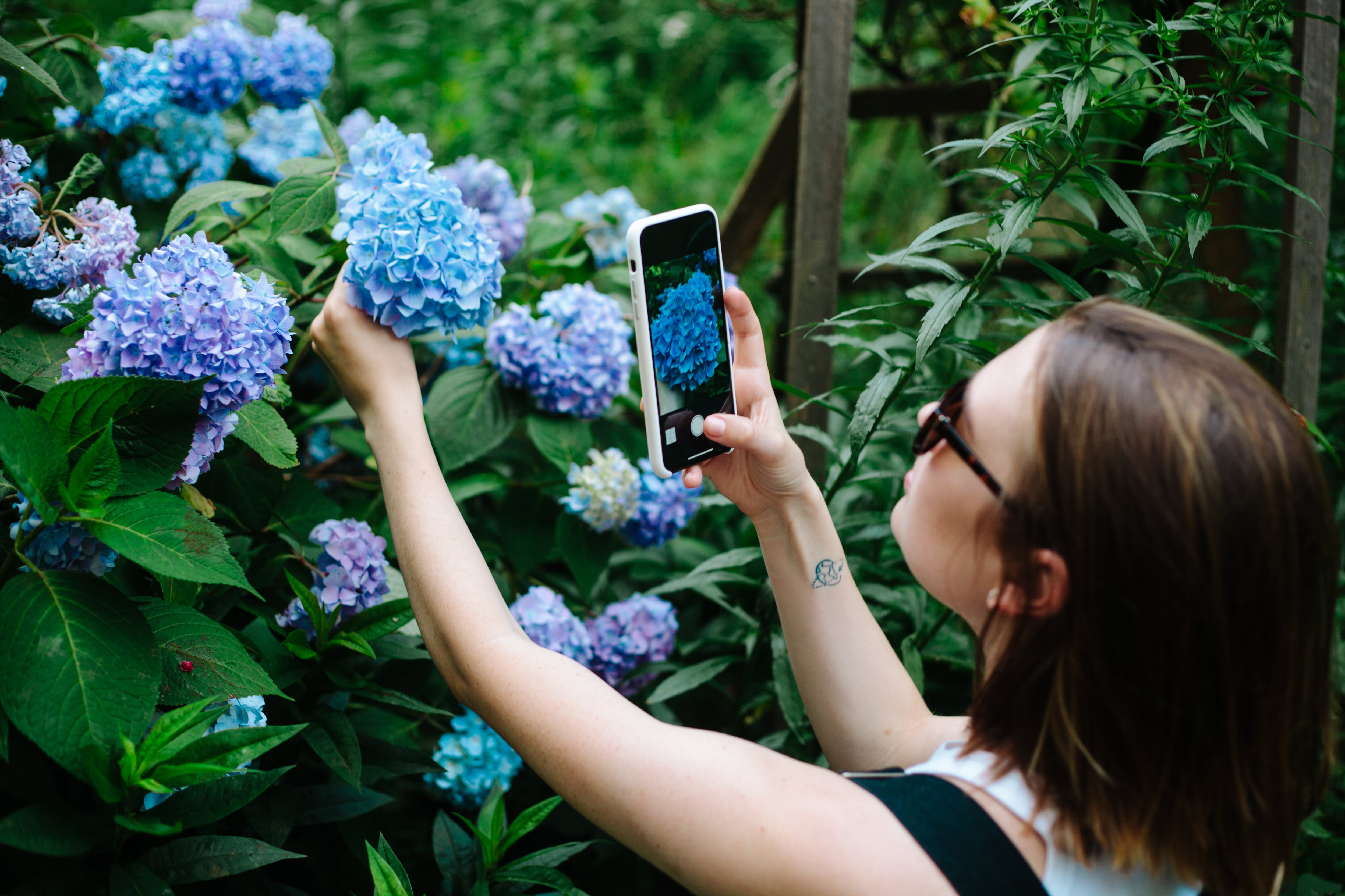 La belleza del retrato botánico: cómo fotografiar plantas conserva el jardín fresco en la memoria