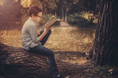 Ni&ntilde;o leyendo un libro en el parque 
 
 