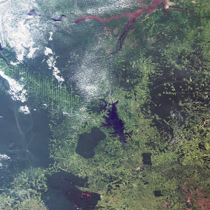 Vista de satélite de la región oriental del Amazonas