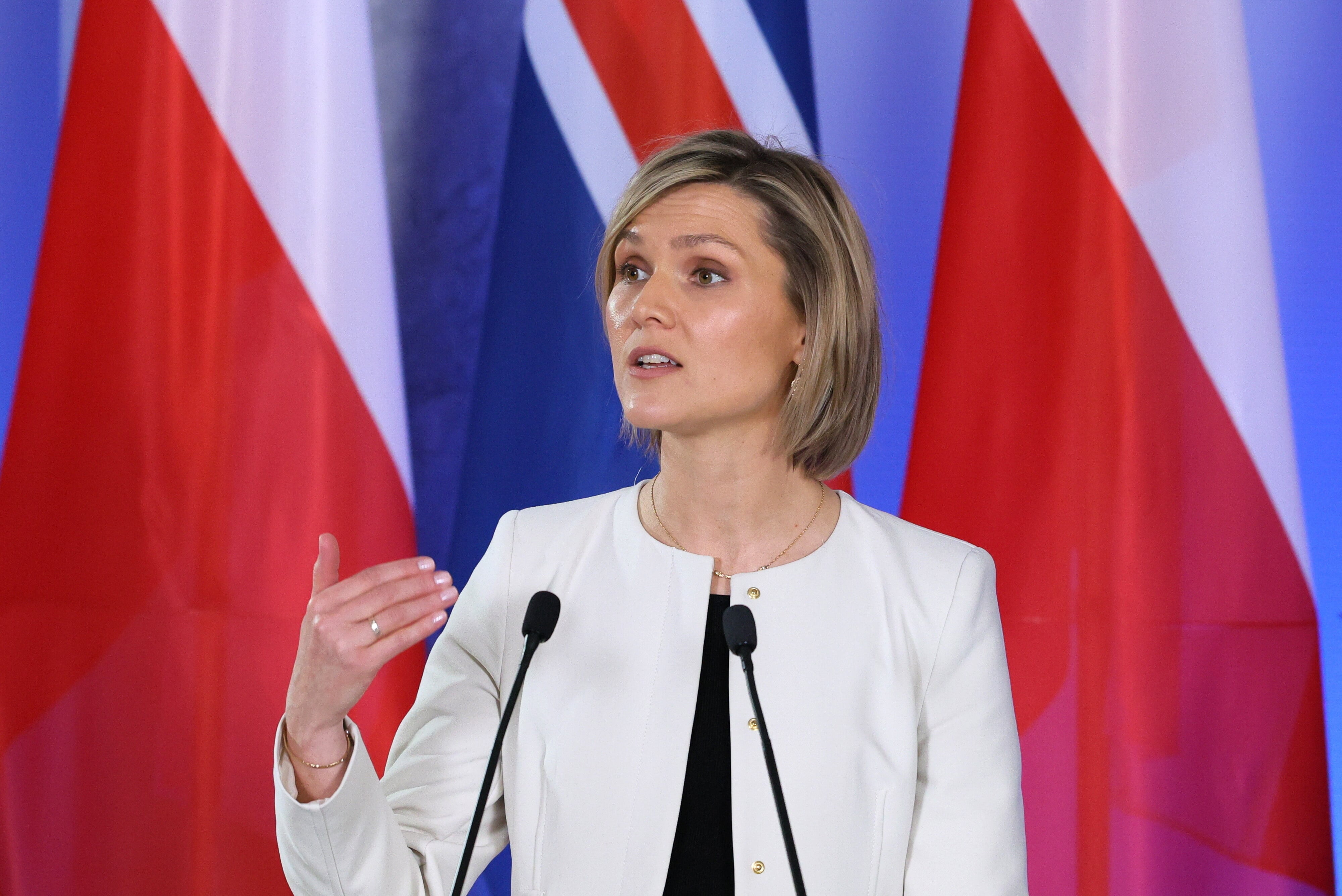 Islandia y los reveses del partido trumpista europeo