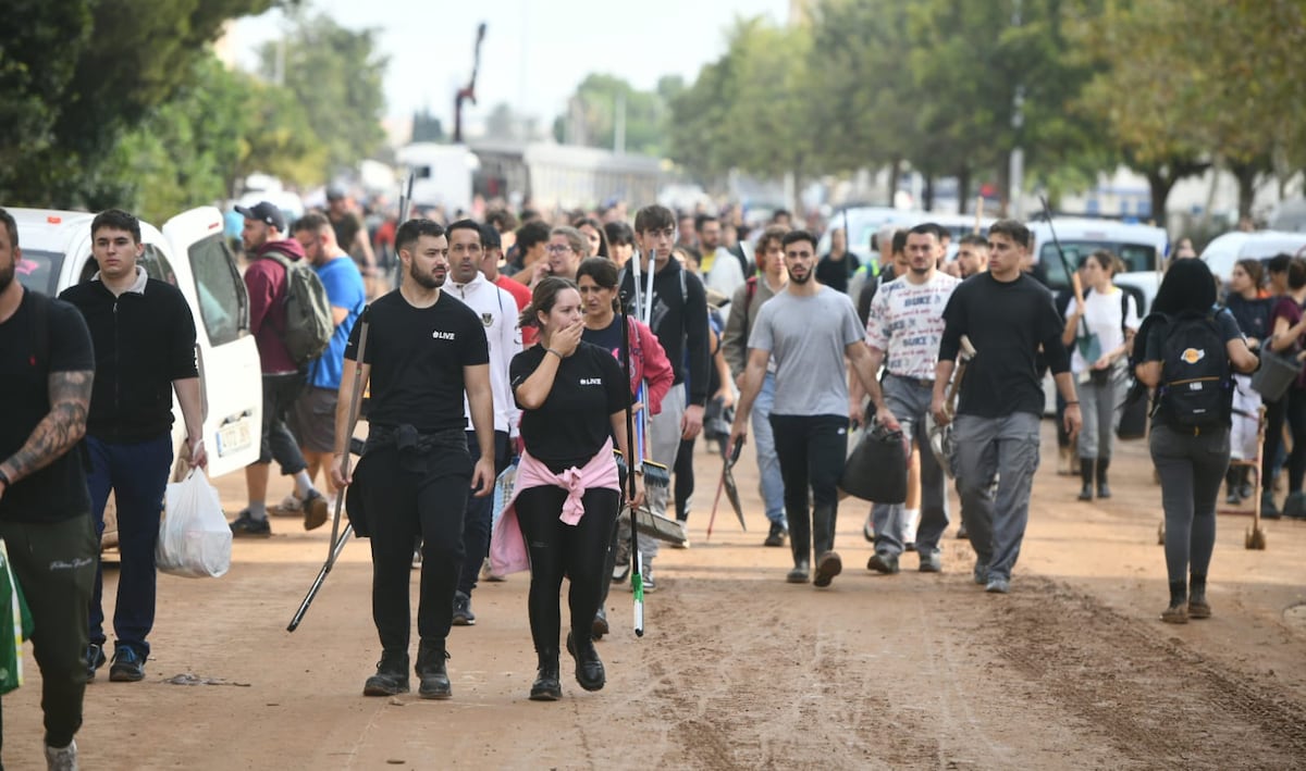 Miles de voluntarios organizados por redes sociales se desplazan a las zonas afectadas por la dana | España – Technologist