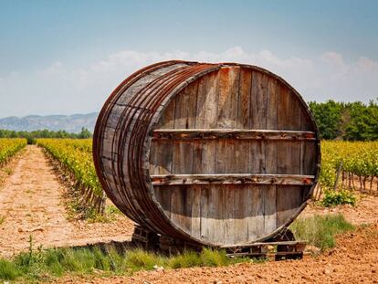 Viñedos en Corrella, en Navarra.