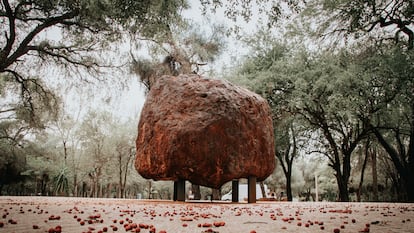 Los guardianes de los meteoritos del Chaco argentino