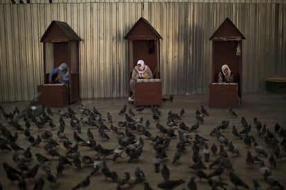 Vendedores esperan en sus cabinas para vender comida para palomas en el centro de Estambul.