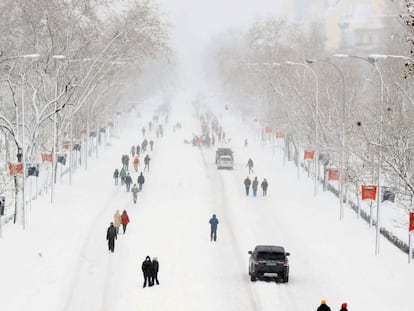 Una espesa capa de nieve cubre el Paseo de la Castellana en Madrid, este sábado. 