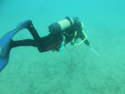 Un buceador rastrea con un equipo geomagnético el fondo marino de Sitges.