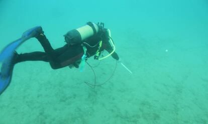 Un buceador rastrea con un equipo geomagnético el fondo marino de Sitges.