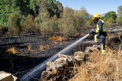 Efectivos refrescan las zonas afectadas por el incendio forestal en el término municipal de Navaluenga (Ávila), este sábado.