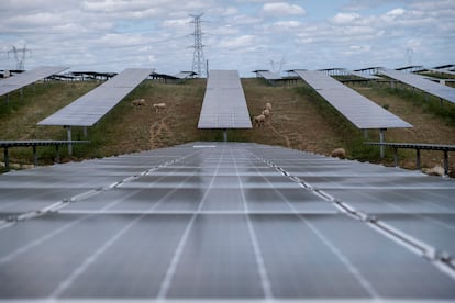 Una planta fotovoltaica en Trujillo (Cáceres), a mediados de 2021.