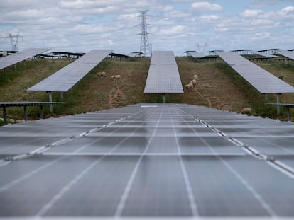 Una planta fotovoltaica en Trujillo (Cáceres), a mediados de 2021.
