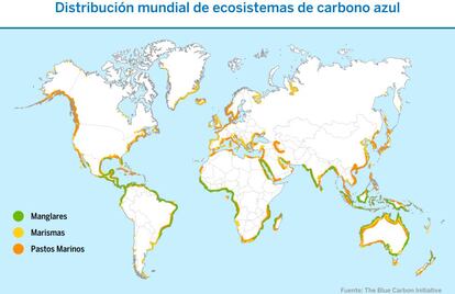 Distribución mundial de ecosistemas de carbono azul.