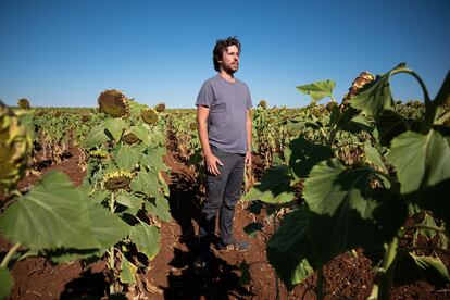 Daniel Trenado Agricultura