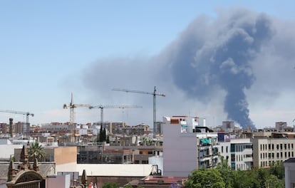 La columna de humo vista desde Sevilla.