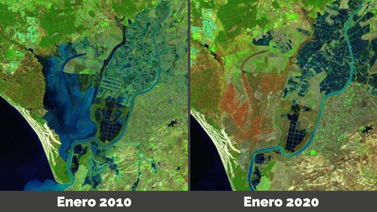 Un estudio advierte de la desaparición de las marismas de Doñana en el intervalo de 42 a 189 años 