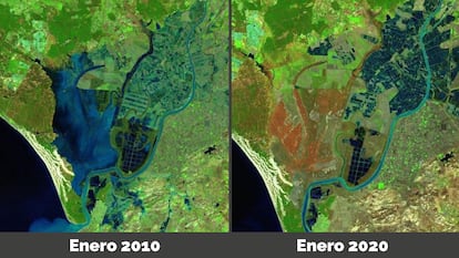 Imágenes de las marismas de Doñana en 2010 (zona azul al completo) por el satélite Landsat 5 y otra tomada en 2020 por el satélite Landsat 8.