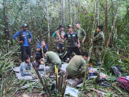 Niños perdidos en la selva de Colombia