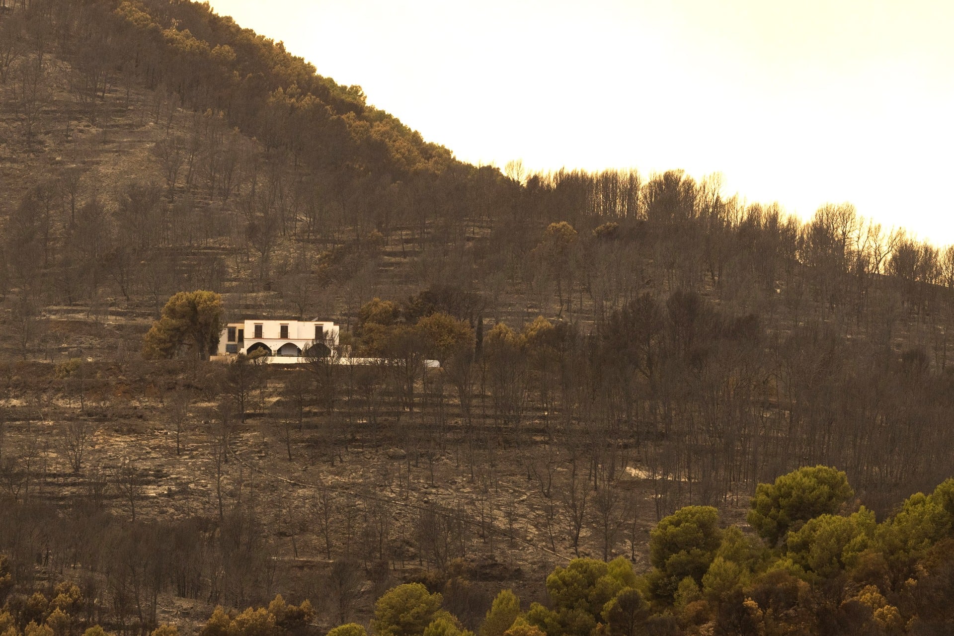 12 municipios evacuados por el incendio de La Vall d’Uixó integran el parque natural de Sierra de Espadán, el pulmón verde de Castellón