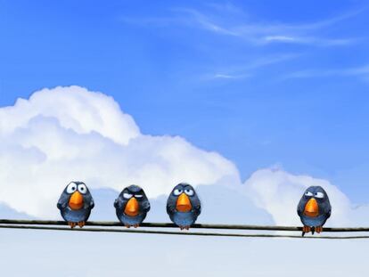 15 especies diferentes que encontrarás en un avión