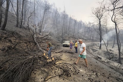 En la última jornada se han declarado 118 incendios en Grecia, donde hasta ahora no ha habido víctimas, pero miles de hectáreas continúan ardiendo sin control, especialmente en la isla de Eubea y en el Peloponeso. En la imagen, un residente corta árboles quemados tras el paso del incendio forestal, cerca de la aldea de Limn, en el norte de Eubea.